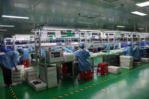 2025年東莞民營企業(yè)家日丨虎門青年企業(yè)家走訪標(biāo)桿企業(yè) 社會經(jīng)濟(jì)咨詢服務(wù)