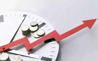 商品經濟的基本規律與專業社會經濟咨詢服務的價值