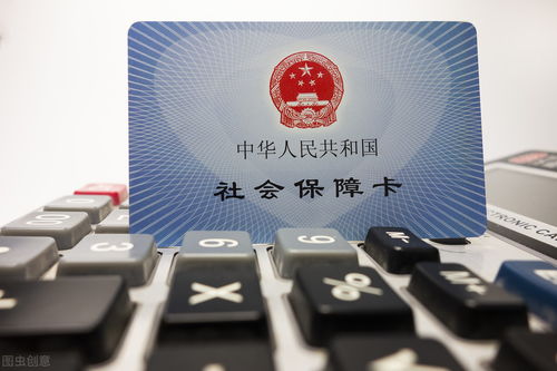 社保查詢方法與中斷影響詳解——社會經濟咨詢服務指南